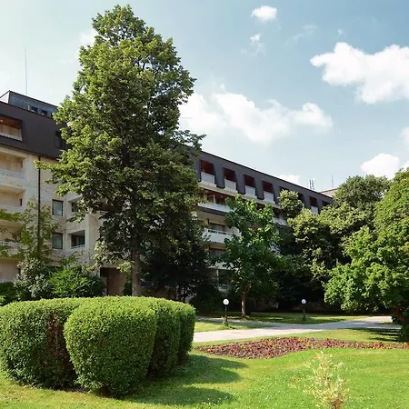 Hvd Lotos Golden Sands